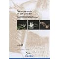 Fledermausrufe im Bat-Detektor