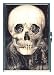 SKULL VICTORIAN ILLUSION GOTH ID CIGARETTE CASE WALLET