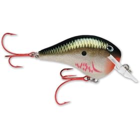 Rapala Dives-to Fat Sure Set 01 Fishing Lures