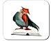 Mauspad mit der Grafik: Vogel, Karikaturen, lesen, Tier, Raven, Studie, Zeichentrickfilm bei amazon kaufen