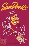 Arizona State 2 Sided Large House Flag Banner