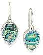 Tear Shape Paua Shell Earrings