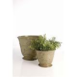 Birds on Vine Glazed Terra Cotta Garden Planters, Set of 2 by EWINS
