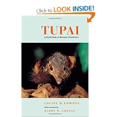 Tupai: A Field Study of Bornean Treeshrews (Organisms and Environments)