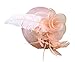 AM CLOTHES Womens Elegant Feather Mesh Flowers Fascinator
