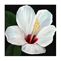 Cameron 1048 Original Hand-Painted Oil on Canvas by Carl Sebastian - 32x32"