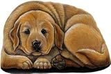 Fiddler's Elbow Golden Retriever Pupper Weight