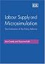 Labour Supply and Microsimulation: The Evaluation of Tax Policy Reforms