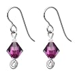 Titanium February Birthstone Earrings Made with SWAROVSKI ELEMENTS
