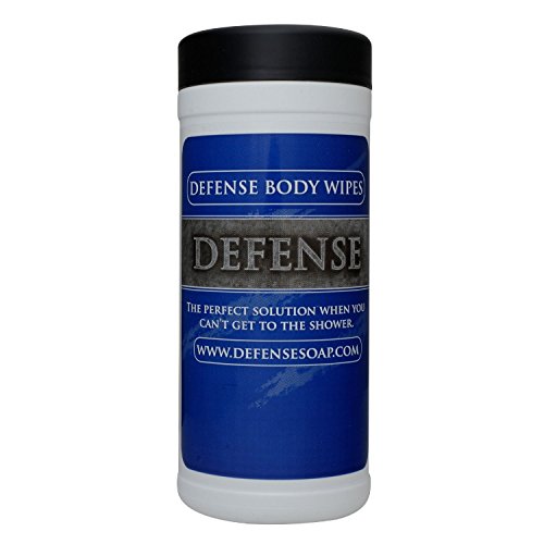 DEFENSE Ringworm Treatment Kit Bar Soap 4 Oz and Body Wipes 40 Count