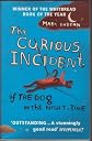 The Curious Incident of the Dog in the Night Time (Vintage)