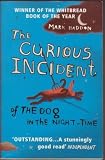The Curious Incident of the Dog in the Night-Time