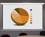84x84 Manual Projector Projection Pull Down Screen 120 1:1 4:3 16:9 Display