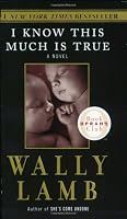 I Know This Much Is True (Oprah's Book Club)