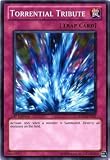 YuGiOh 5D's Lost Sanctuary Structure Deck Single Card Torrential Tribute SDLS-EN035 Common