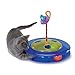 Petstages Cheese Chase Ball Track for Cats