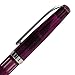 Noodler's Ink Nib Creaper Standard Flex Fountain Pen - King Philip Purple