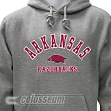 Arkansas Razorbacks Campus Yard Hooded Sweatshirt