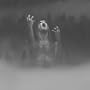 Taake