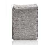 Griffin Elan Convertible Leather Flip-Top Case for iPod nano 3G (Silver)
