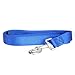 ITERY Dog Leash Pet Durable Leash Strap for Puppy Pet Leash Rope 6-feet Long 1” Wide (Blue)