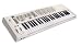 EMU 49 SHORTboard MIDI Controller/Synthesizer