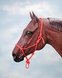 Tough-1 Miniature Poly Rope Tied Halter