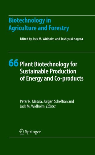 Plant Biotechnology for Sustainable Production of Energy and Co-products: 66 (Biotechnology in Agriculture and Forestry)