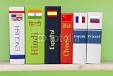 Wallmonkeys Peel and Stick Wall Decals - Books/dictionaries of Different Languages - 36