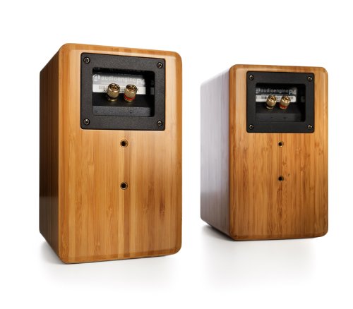 Audioengine P4 Premium Passive Bookshelf Speaker Pair (Natural Wood)