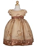 Two-tone Embroidered Tulle Dress