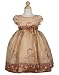 Two-tone Embroidered Tulle Dress