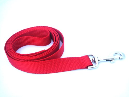 Medium Red Dog Leash/Nylon Webbing: 3/4