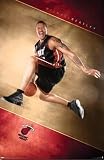 Heat - Michael Beasley 08 Art Poster PRINT Unknown 22x34