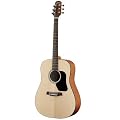 Walden Acoustic Guitar D350