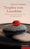 Tropfen vom Lotosblatt: Begegnungen mit der Kultur der Achtsamkeit - Walter Flemmer
