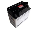 YB16CL-B Heavy Duty Watercraft Motorcycle 12v Battery