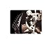 Brand New Randy Rhoads Mouse Pad Jackson Guitar