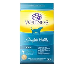 Wellness Complete Health Whitefish & Sweet Potato Natural Dry Dog Food, 5-Pound Bag Wellness Complete Health Whitefish & Sweet Potato Natural Dry Dog Food, 5-Pound Bag
