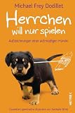 Buch