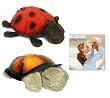 Cloud B Two Piece Combo Set-One Twilight Turtle & One Twilight Lady Bug