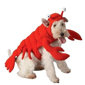 Pet Lobster Costume