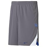 Nike Kentucky Wildcats Ash Training Shorts