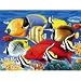 Coral Fish 550 pc Jigsaw Puzzle by White Mountain