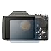 Reusable Screen Protector for Sony DSC-H20