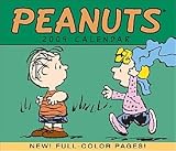 Peanuts 2009 Page Per Day Calendar