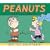 Peanuts 2009 Page Per Day Calendar
