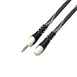 Aurum Cables 3.5mm Car Stereo Auxiliary Male to Female (Aux-in) Input Cable (Ideal for Car Aux in / Ipod, Ipod Touch / Iphone 3g + 3gs / Mp3, Ipad Sansa) 6ft