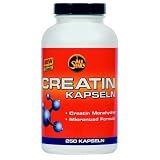 All Stars Creatin Kapseln 250 Kapseln á 800mg
