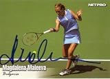 Magdalena Maleeva autographed 2003 Netpro card or tennis ball (Item=Ball)